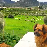 Gregory's Farm *