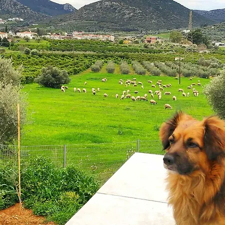 Gregory's Farm *