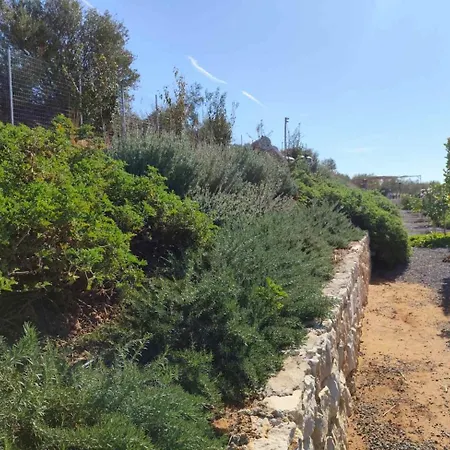 公寓 Gregory's Farm Levkákia