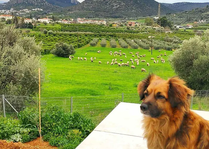 Gregory's Farm *