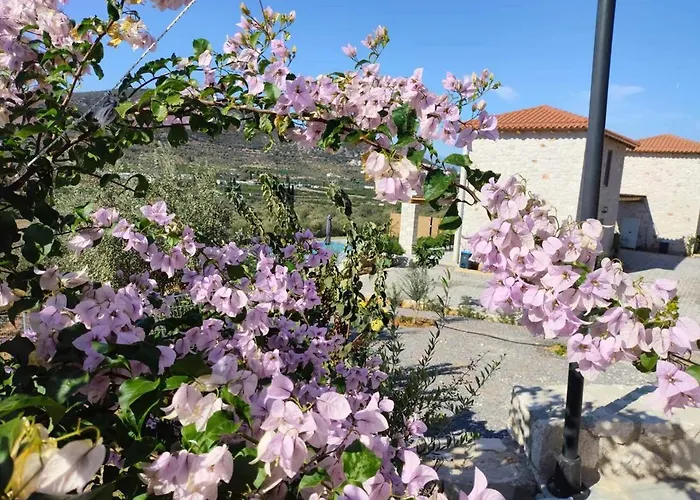 Gregory's Farm Lefkakia