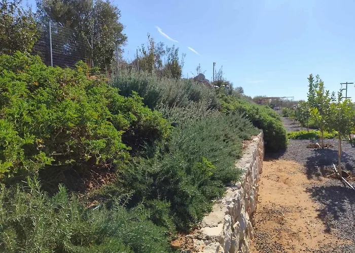 Апартаменты Gregory's Farm Lefkakia